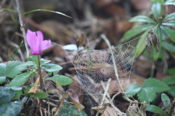 Leitung der KA / Pixabay Leitung der KA